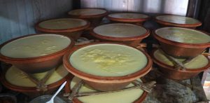 जानाैँ जाडोमा दही खाँदा राम्रो कि नराम्रो ?