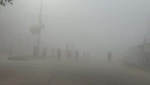 तराईका भू-भागमा बाक्लो हुस्सुका कारण जनजीवन प्रभावित