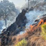 बागमती प्रदेशमा डढेलोबाट नौ हजार ६ सय हेक्टर वनमा क्षति