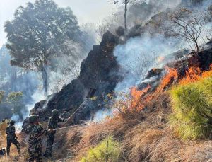 बागमती प्रदेशमा डढेलोबाट नौ हजार ६ सय हेक्टर वनमा क्षति