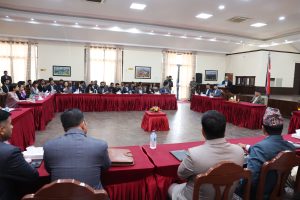 विकासको गतिमा देश अगाडि बढेको छ, देखिएका समस्या समाधान गरिन्छ : प्रधानमन्त्री