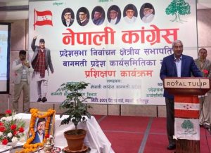 “संवैधानिक राजा हुन लायकको मान्छे नै नभएको र हुन पनि नसक्ने”
