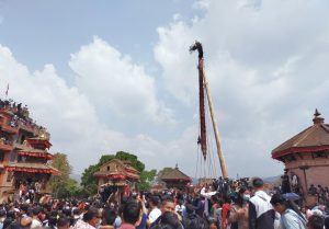 भक्तपुरमा बिस्का जात्राको उपलक्ष्यमा ५५ हाते लिंगो उभ्याइयो