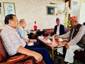 भोलि राजावादी रत्नपार्कमा र एमाले गणतन्त्र उत्सववादी भृकुटीमण्डपमा भेला हुँदै