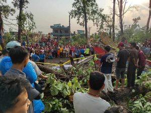 सुनवलमा रूखले च्यापिएर दुई जनाको मृत्यु