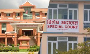 मेलम्चीको कागजपत्र अख्तियारको नियन्त्रणमा