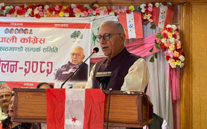 ठूलो पार्टी भएर पनि कांग्रेसले नेतृत्व लिन नसकेकोमा पार्टी नेतृत्वमाथि डा. शेखरको प्रश्न