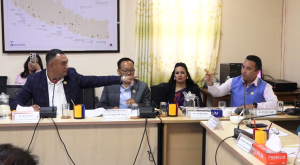 भिजिट भिसा : कांग्रेस-रास्वपा सांसदहरुबिच तातो बहस