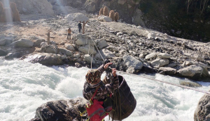 तुइन तर्ने क्रममा महाकाली नदीमा खसेर एक जना बेपत्ता