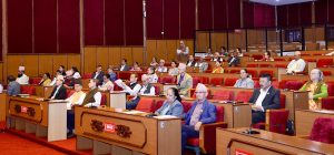 राष्ट्रिय गौरवका आयोजना समयमा सम्पन्न गर्न संसदको दबाब