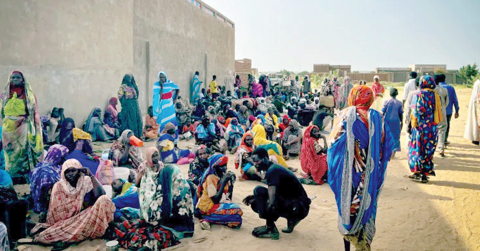 डार्फरमा खाद्य संकट चरम: मानिस चराचुरुङ्गी र कीरा खान बाध्य