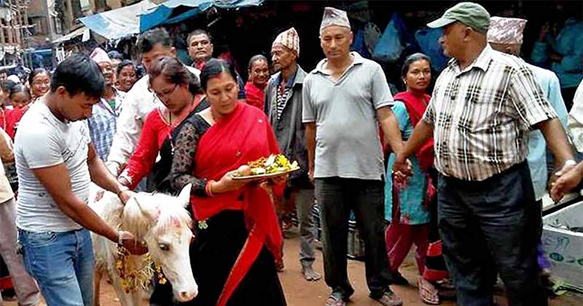 भक्तपुरमा तलेजु भवानीको पायो जात्रा सम्पन्न