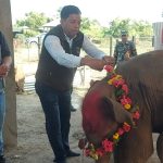 कोशी टप्पु वन्यजन्तु आरक्षमा नयाँ हात्तीको जन्म : नाम ‘भूपेन्द्र गज’