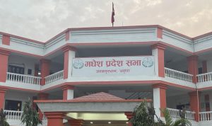 मधेश प्रदेशसभाका ५ जना सांसद पदमुक्त