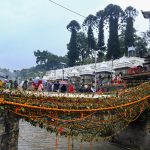 हरिबोधिनी एकादशीको अवसरमा पशुपतिमा तोरण