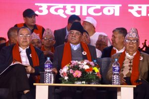 १० दल एकतामा पनि प्रचण्ड संयोजकमा चयन