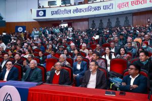 प्रगतिशील लोकतान्त्रिक पार्टीको घोषणा