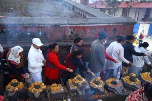 पितृ उद्धारको कामनासहित पशुपतिमा शतबीज छर्नेको घुइँचो