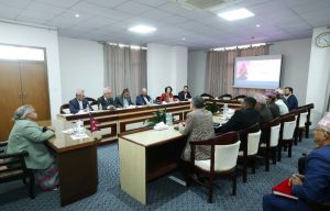 जेन-जी आन्दोलन : ७७ को मृत्यु, ८४ अर्ब ५० करोडबराबरको भौतिक क्षति