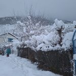 हिमपातले हुम्लाको लिमी र हिल्सा सडक बन्द