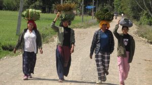 थारु बस्तीमा माघीको चहलपल