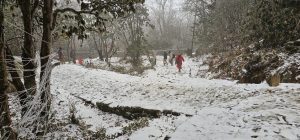 धार्मिकस्थल पाथीभरा क्षेत्रमा दोस्रोपटक हिमपात