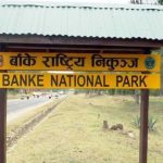 बबई गाउँपालिकाभित्रका १० बस्तीलाई स्थानान्तरण गर्न सिफारिस