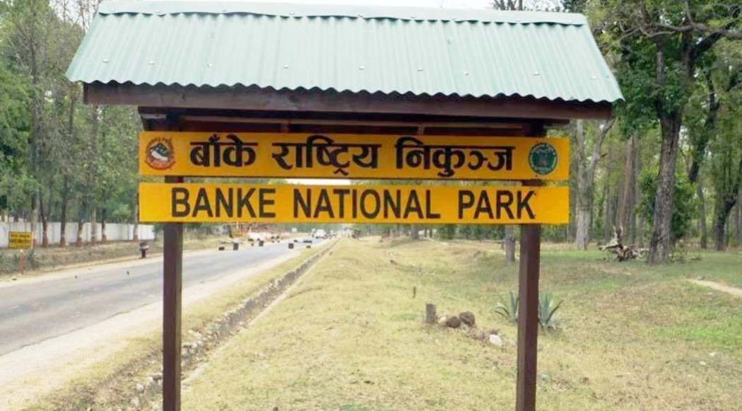 बबई गाउँपालिकाभित्रका १० बस्तीलाई स्थानान्तरण गर्न सिफारिस