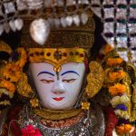 श्वेत मत्स्येन्द्रनाथको रथयात्रा, राष्ट्रपति शरीक