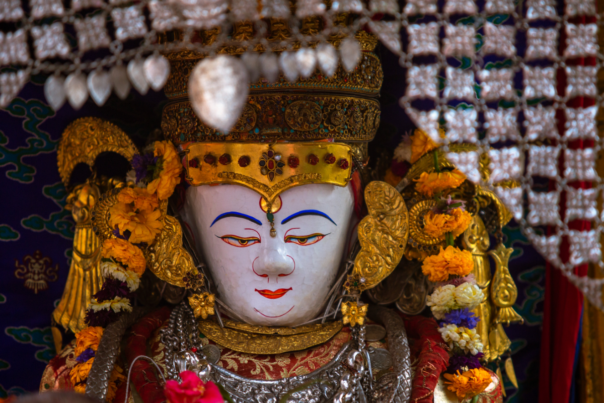 श्वेत मत्स्येन्द्रनाथको रथयात्रा, राष्ट्रपति शरीक