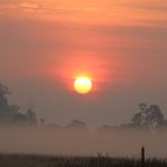 नयाँ उत्साह, उमङ्गका साथ नयाँ वर्ष २०८३ मनाइँदै