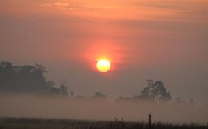 नयाँ उत्साह, उमङ्गका साथ नयाँ वर्ष २०८३ मनाइँदै