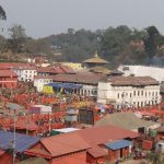 पशुपति क्षेत्र विकास कोषमा कार्यकारी निर्देशक नरहने