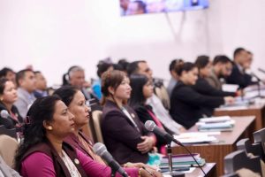 प्रतिनिधिसभामा नीति तथा कार्यक्रममाथिको छलफल सुरु
