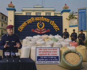 रौतहटमा ९० लाखभन्दा बढीको फर्सीको बिउ बरामद