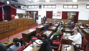 प्रवासी नेपालीको मतदान अधिकार सुनिश्चितसँगै नो भोटको व्यवस्था