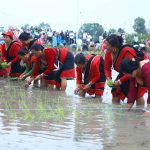 नार्कमा राष्ट्रिय धान दिवस सम्पन्न