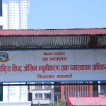 प्राकृतिक विपद् : एकजनाको मृत्यु, २० जना घाइते