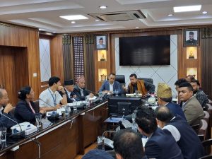 काठमाडौं उपत्यकाका अस्तव्यस्त तार व्यवस्थापन गर्न निर्देशन