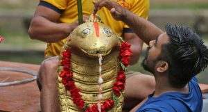 पूजाअर्चना गरी आज नागपञ्चमी मनाइँदै