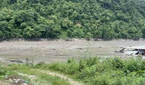 विभिन्न स्थानमा १७७ जनाको शव भेटियो