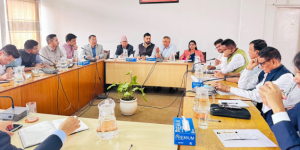 रवि लामिछानेको सर्वदलीय बैठकले के निर्णय गर्‍यो ?