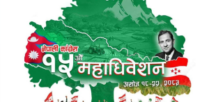 कांग्रेसको १५औँ महाधिवेशन : मतदाता लाइनमा