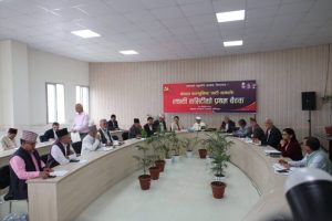 एमाले केन्द्रीय कमिटीमा १३ जना मनोनीत